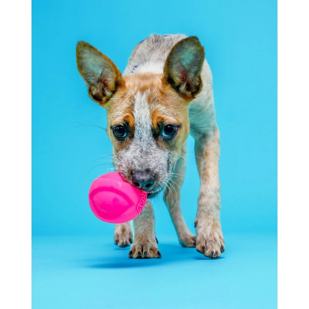 Medium Dog Toys Bacon Scented Squeaky