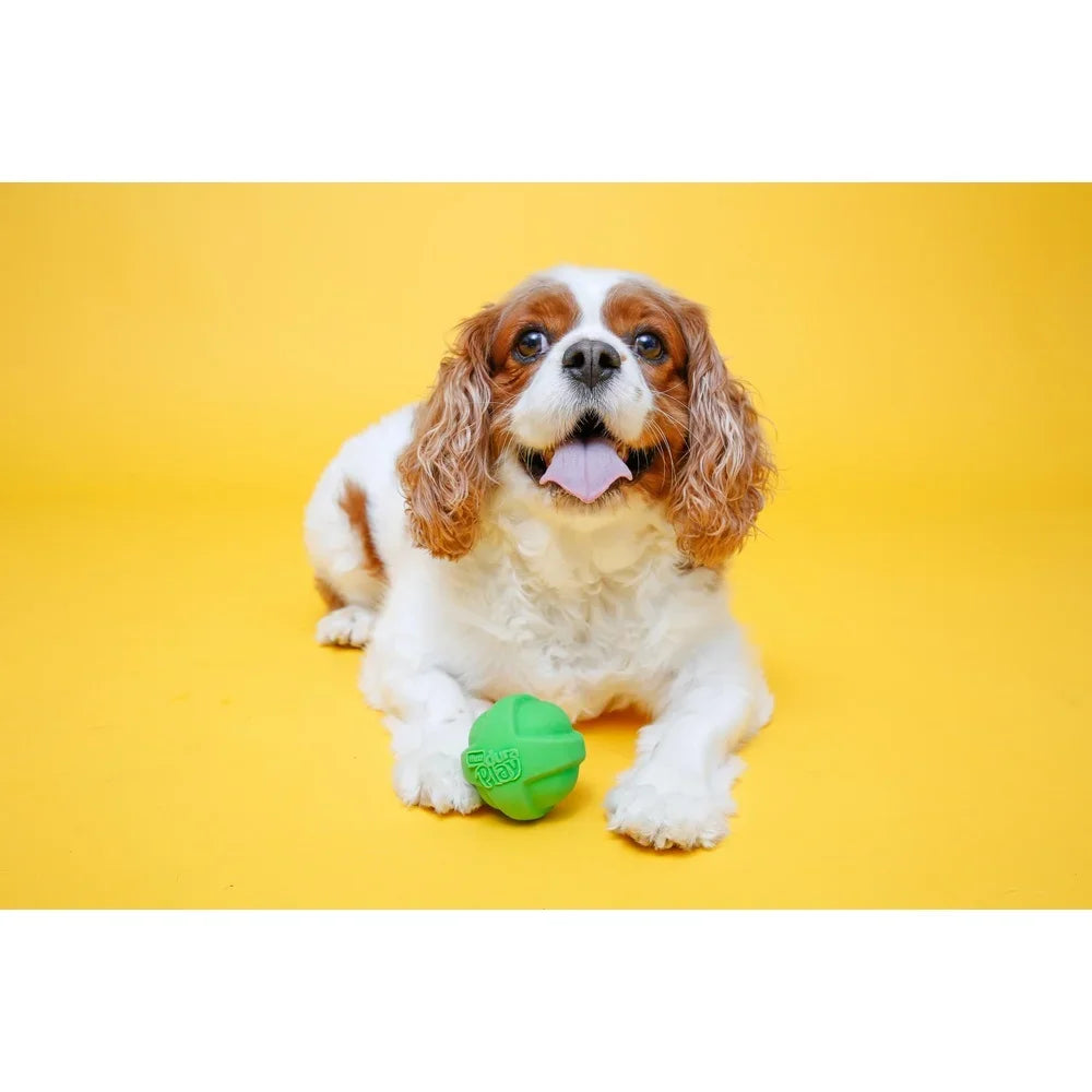 Medium Dog Toys Bacon Scented Squeaky