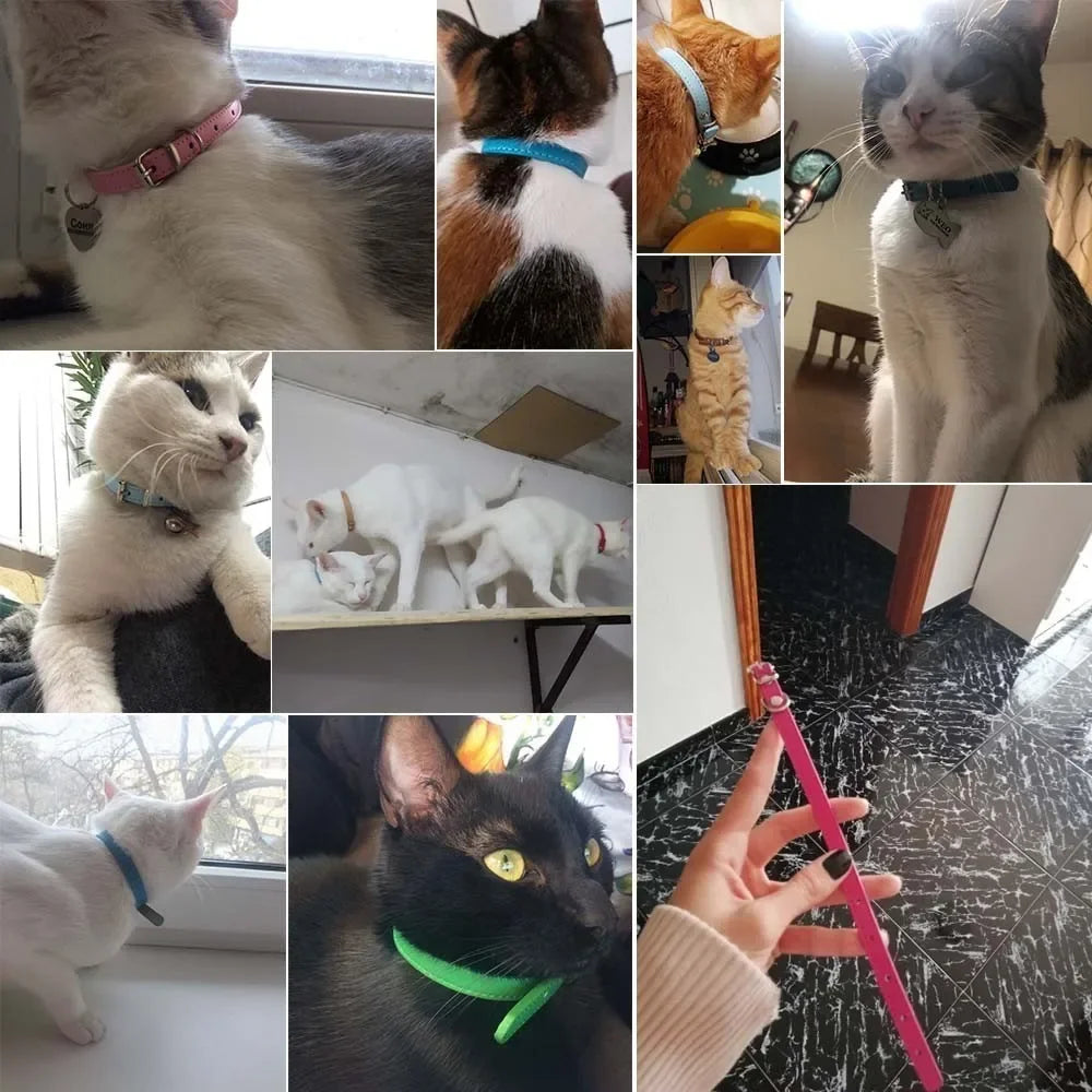 Colorful Leather Puppy Cat Collar
