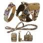 Large Dog Harness And Leash Set Pet German
