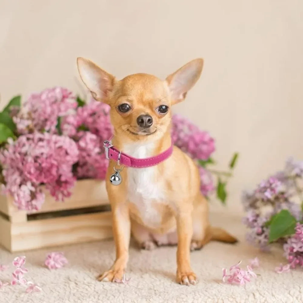 Light Blue and Pink Teacup Dog Collar, 3/8 Inch Wide, Suitable for Small Dogs and Cats