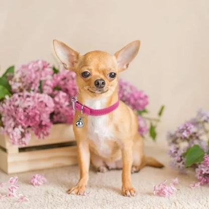 Light Blue and Pink Teacup Dog Collar, 3/8 Inch Wide, Suitable for Small Dogs and Cats