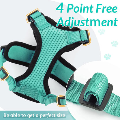 Cat Harness and Leash for Walking,