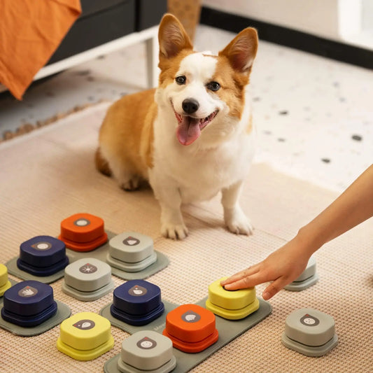 Dog Button Record Talking Pet Communication Vocal Training Interactive Toy
